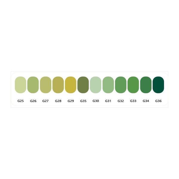 Акрилові маркери Guangna 1.0 мм, 12 кольорів: Grayish Green Series &mdash; оливково-шавлієва палітра 393 фото