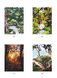 Розмальовка за номерами Coloriages myst&egrave;res -For&ecirc;ts du monde 355 фото 4