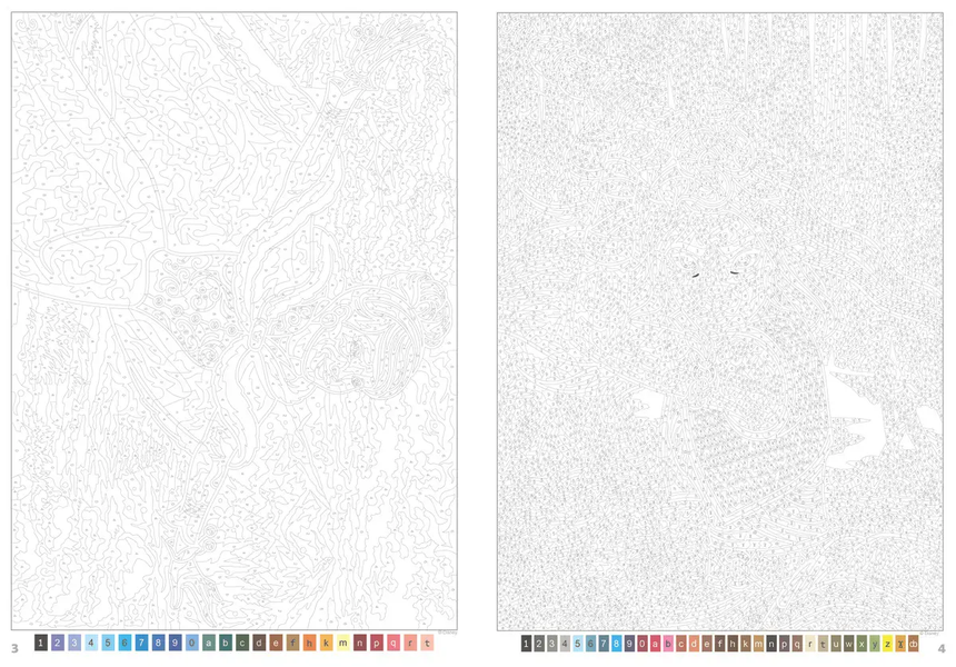 Розмальовка за номерами Coloriages mysteres Księżniczka Том 2 PL 283 фото
