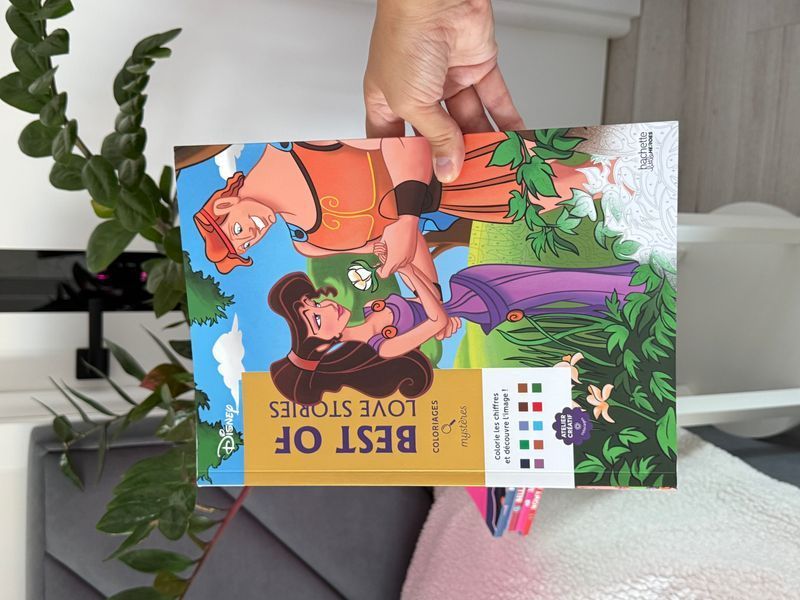 Розмальовка за номерами Coloriages mysteres Best of Love Stories 305 фото