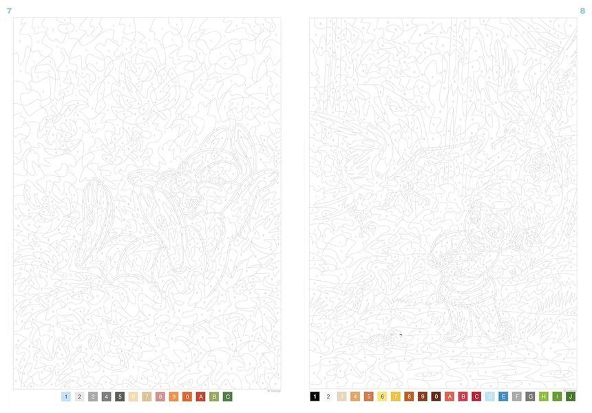 Розмальовка за номерами Coloriages mysteres Nature PL 24 фото