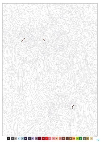 Розмальовка за номерами Coloriages mysteres M&eacute;chants 75 фото