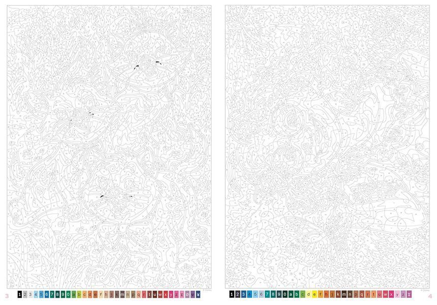 Розмальовка за номерами Coloriages myst&egrave;res Les Grands classiques Tome 11 27 фото