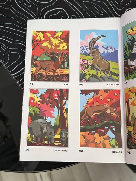 Розмальовка за номерами Coloriages mysteres: Safari 276 фото