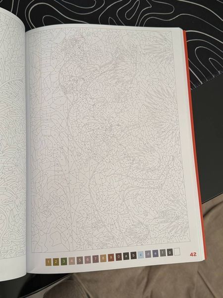 Розмальовка за номерами Coloriages mysteres: Safari 276 фото