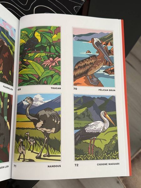 Розмальовка за номерами Coloriages mysteres: Safari 276 фото