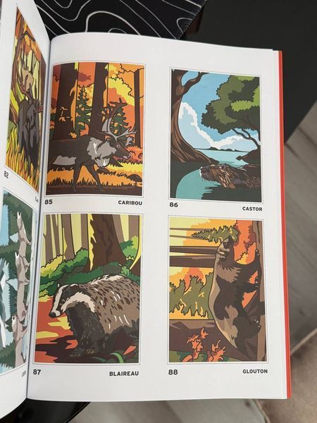 Розмальовка за номерами Coloriages mysteres: Safari 276 фото