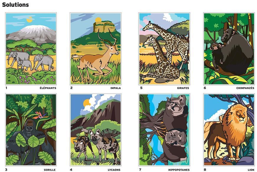 Розмальовка за номерами Coloriages mysteres: Safari 276 фото