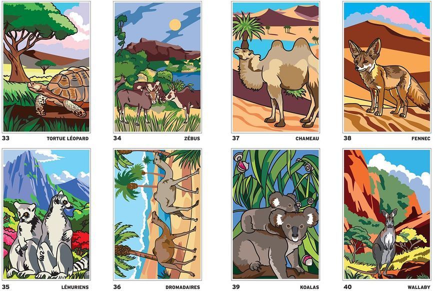 Розмальовка за номерами Coloriages mysteres: Safari 276 фото