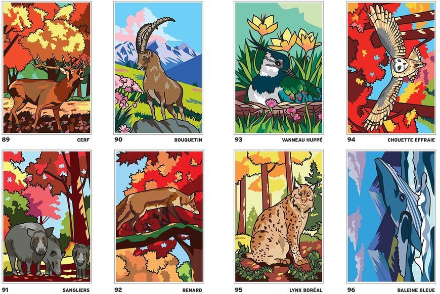 Розмальовка за номерами Coloriages mysteres: Safari 276 фото