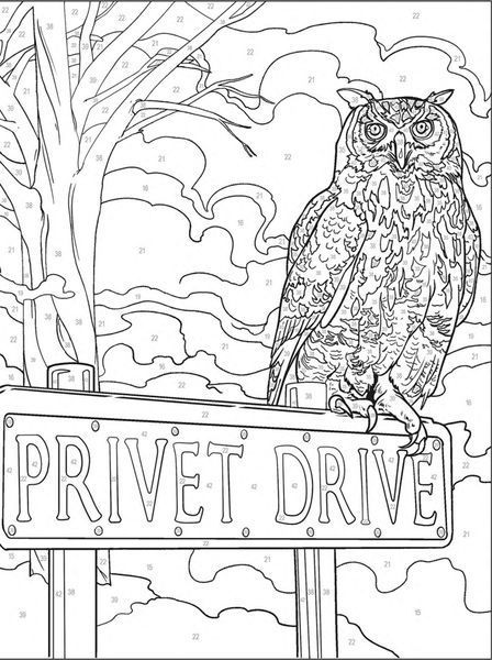 Розмальовка за номерами Harry Potter au num&eacute;ro 84 фото